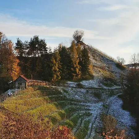 Hill Haloze Ferienhaus *