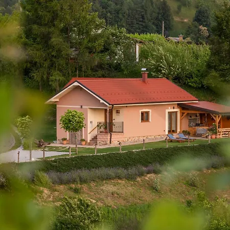 Hill Haloze Ferienhaus