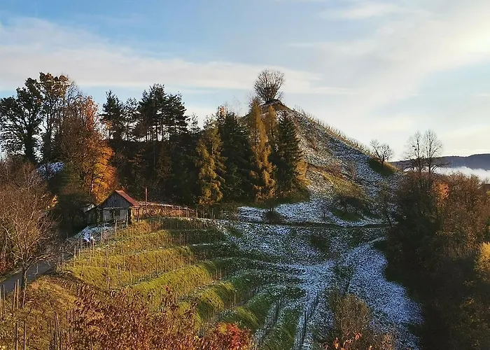 Hill Haloze 度假居 *