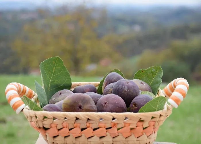 Hill Haloze Gruskovec