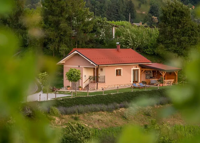 Hill Haloze 度假居