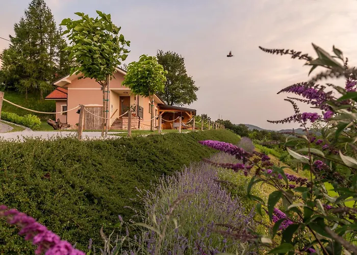 Hill Haloze Gruskovec