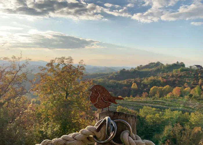 Hill Haloze Gruskovec