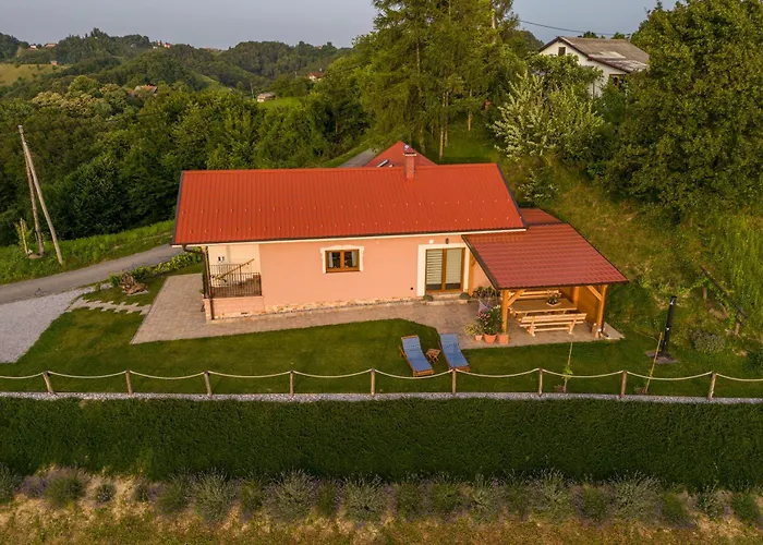 Hill Haloze 度假居 *